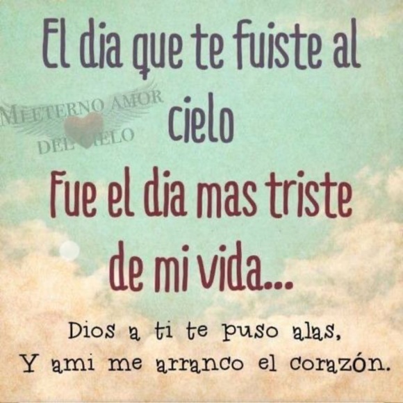 Meet your Posher, Cristina - Picture 1 of 1